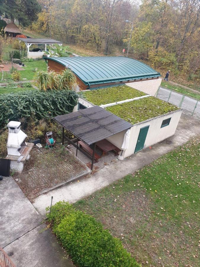 Breathtaking Shared Villa Near Danube River /W Garden And Parking 비엔나 외부 사진