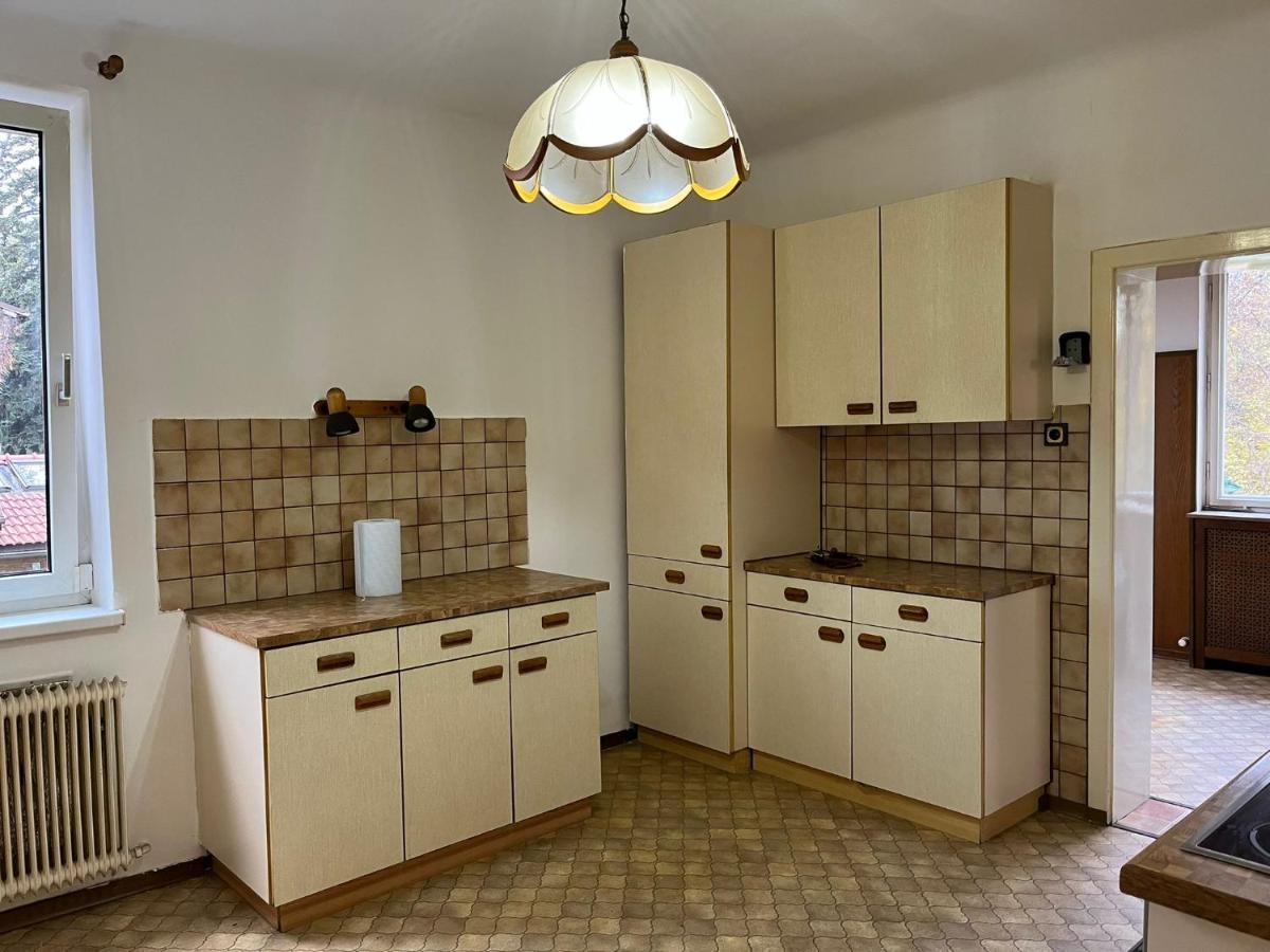 Breathtaking Shared Villa Near Danube River /W Garden And Parking 비엔나 외부 사진