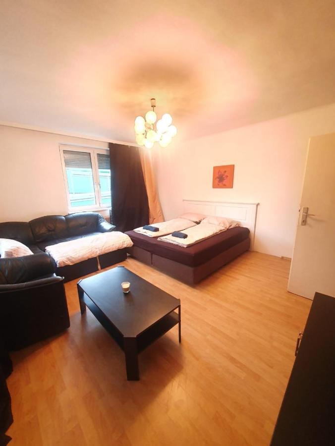 Breathtaking Shared Villa Near Danube River /W Garden And Parking 비엔나 외부 사진